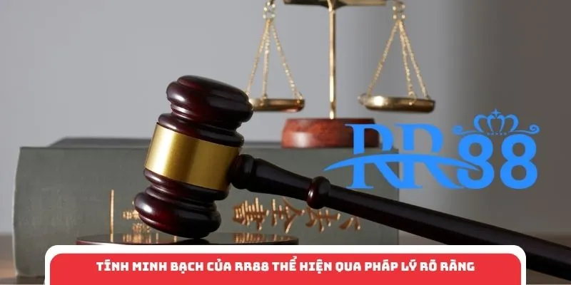 Tính minh bạch của RR88 thể hiện qua pháp lý rõ ràng